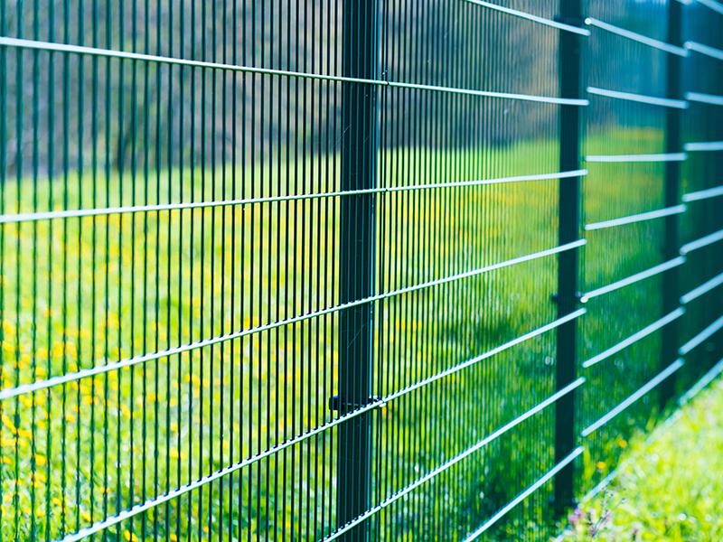 63067378 - metal fence in green field
